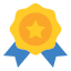 Premium Quality Icon